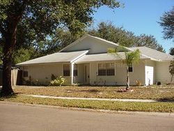 Pre-foreclosure in  PINE MEADOW CT Tampa, FL 33624