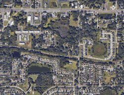  Estella Thomas Dr, Seffner FL