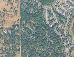 Pre-foreclosure in  FOLKSTONE RD Tallahassee, FL 32312