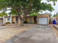 Pre-foreclosure in  N WILLOW ST Las Cruces, NM 88001