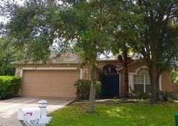 Pre-foreclosure in  AERNAL CT Land O Lakes, FL 34639