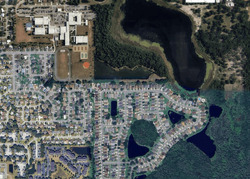  Bouganvillea Cresce, Orlando FL