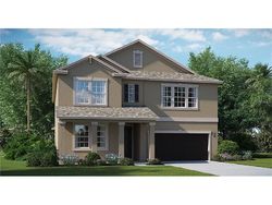 Pre-foreclosure in  LITTLE BLUE HERON DR Riverview, FL 33579