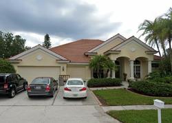Pre-foreclosure in  RUTLEDGE DR Palm Harbor, FL 34685