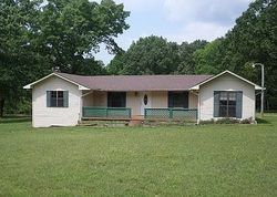 Pre-foreclosure in  MOUNT NEBO RD Iron City, TN 38463