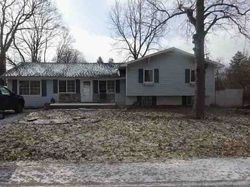 Pre-foreclosure in  4TH ST Yale, MI 48097