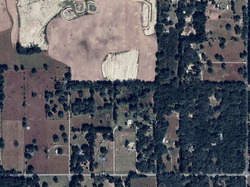 Pre-foreclosure in  LAKE ELLA RD Fruitland Park, FL 34731