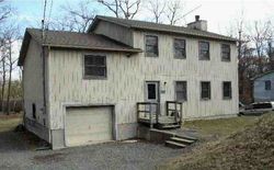 Pre-foreclosure in  MALLARD LN Bushkill, PA 18324