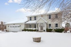 Pre-foreclosure in  ELM ST Spring Grove, IL 60081