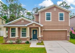 Pre-foreclosure in  SWAYING MOSS CIR Riverview, FL 33569