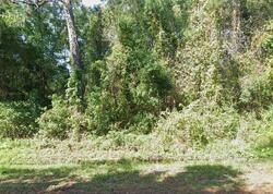 Pre-foreclosure in  NE COUNTY ROAD 1469 Waldo, FL 32694