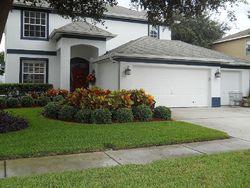 Pre-foreclosure in  SAWGRASS DR Tarpon Springs, FL 34689
