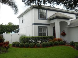 Pre-foreclosure in  SAWGRASS DR Tarpon Springs, FL 34689