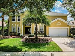 Pre-foreclosure in  BAY LAUREL CT Tampa, FL 33647