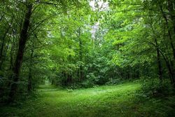  Steelmanville Rd, Egg Harbor Township NJ