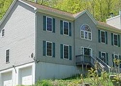 Pre-foreclosure in  PAINE RD Holmes, NY 12531