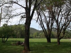 Pre-foreclosure Listing in COVERED BRIDGE RD ROGUE RIVER, OR 97537