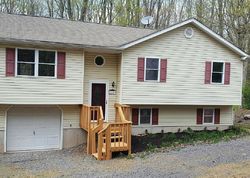 Pre-foreclosure in  BUCK RIDGE DR Drums, PA 18222