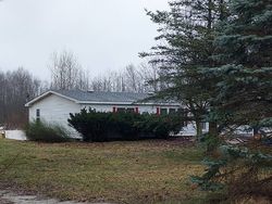 Pre-foreclosure in  MAPLE ISLAND RD Nunica, MI 49448