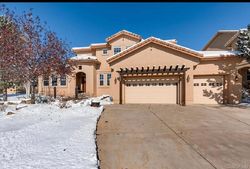 Pre-foreclosure in  SABER CREEK DR Monument, CO 80132