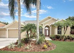 Pre-foreclosure in  CROOKED STICK DR Valrico, FL 33596