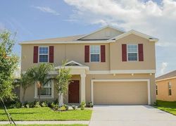 Pre-foreclosure in  BROAD WINGED HAWK DR Ruskin, FL 33570