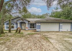 Pre-foreclosure in  SHASTA ST Webster, FL 33597