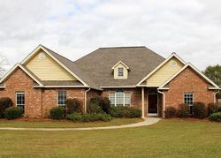 Pre-foreclosure in  PALM TREE LOOP Petal, MS 39465