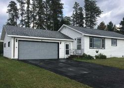 Pre-foreclosure in  COTTONWOOD CT Babbitt, MN 55706