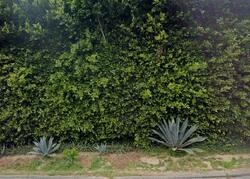 Pre-foreclosure in  SAN YSIDRO RD Santa Barbara, CA 93108