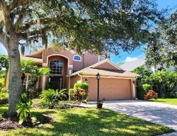 Pre-foreclosure in  WATER POPPY TER Bradenton, FL 34202