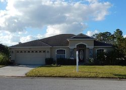 Pre-foreclosure in  EVERGREEN PARK DR Lakeland, FL 33813