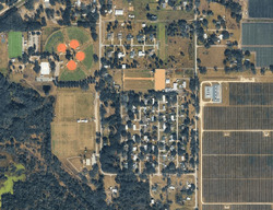 Pre-foreclosure in  MUSIC TREE PL Dover, FL 33527