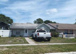 Pre-foreclosure in  BRIAR GROVE CIR Tampa, FL 33615