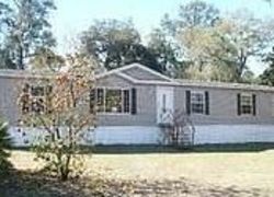 Pre-foreclosure in  S DOLPHIN DR Floral City, FL 34436