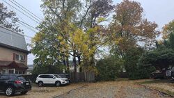 Pre-foreclosure in  SCHOOL ST Morton, PA 19070