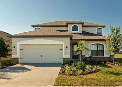 Pre-foreclosure in  THICKET WOOD DR Riverview, FL 33579