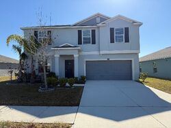 Pre-foreclosure in  WHITE MANGROVE DR Wimauma, FL 33598