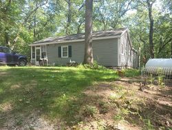 Pre-foreclosure in  LAKE DR Allegan, MI 49010