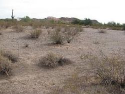 Pre-foreclosure in  N SAGUARO Mesa, AZ 85201