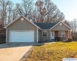 Pre-foreclosure in  AUDREY LN Lebanon, MO 65536