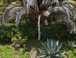  Camino Alto, Santa Barbara CA