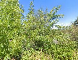  Point Lakeview Rd, Kelseyville CA