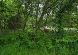 Pre-foreclosure in  CORNSTUBBLE LN Poolville, TX 76487