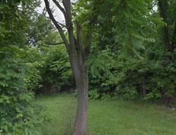  Joseph St, Youngstown OH