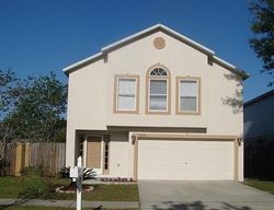 Pre-foreclosure in  IVY FLOWER LOOP Riverview, FL 33578