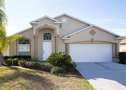 Pre-foreclosure in  CUTWATER LN Wesley Chapel, FL 33545