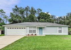 Pre-foreclosure in  17TH ST Orange City, FL 32763