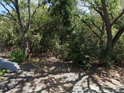 Pre-foreclosure in  GLORIA TER Lafayette, CA 94549