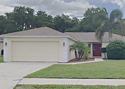 Pre-foreclosure in  WINCHESTER ESTATES CT Lakeland, FL 33810